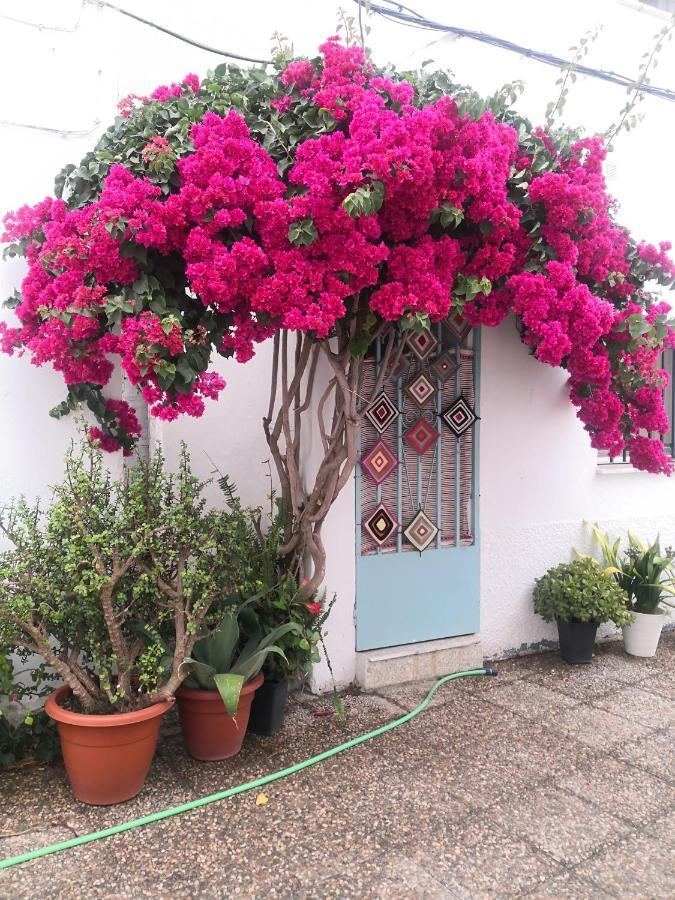 Corazon De Conil Apartment Конил-де-ла-Фронтера Екстериор снимка