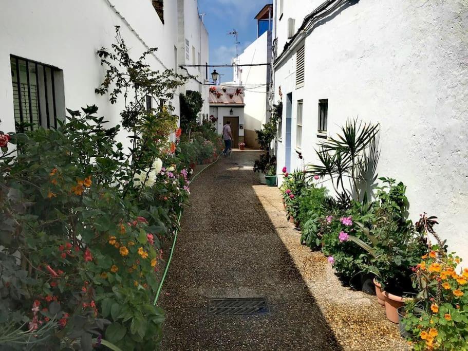 Corazon De Conil Apartment Конил-де-ла-Фронтера Екстериор снимка