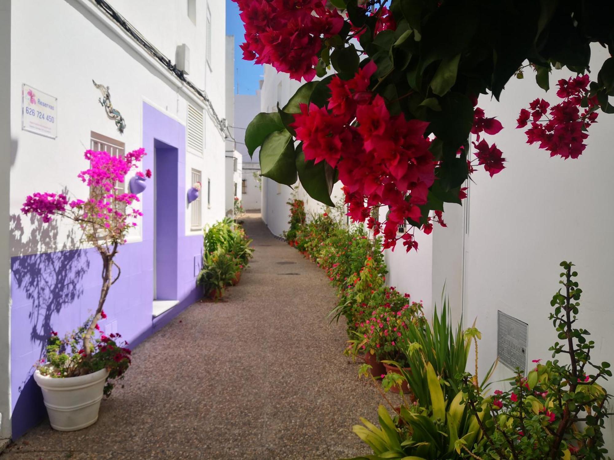 Corazon De Conil Apartment Конил-де-ла-Фронтера Екстериор снимка